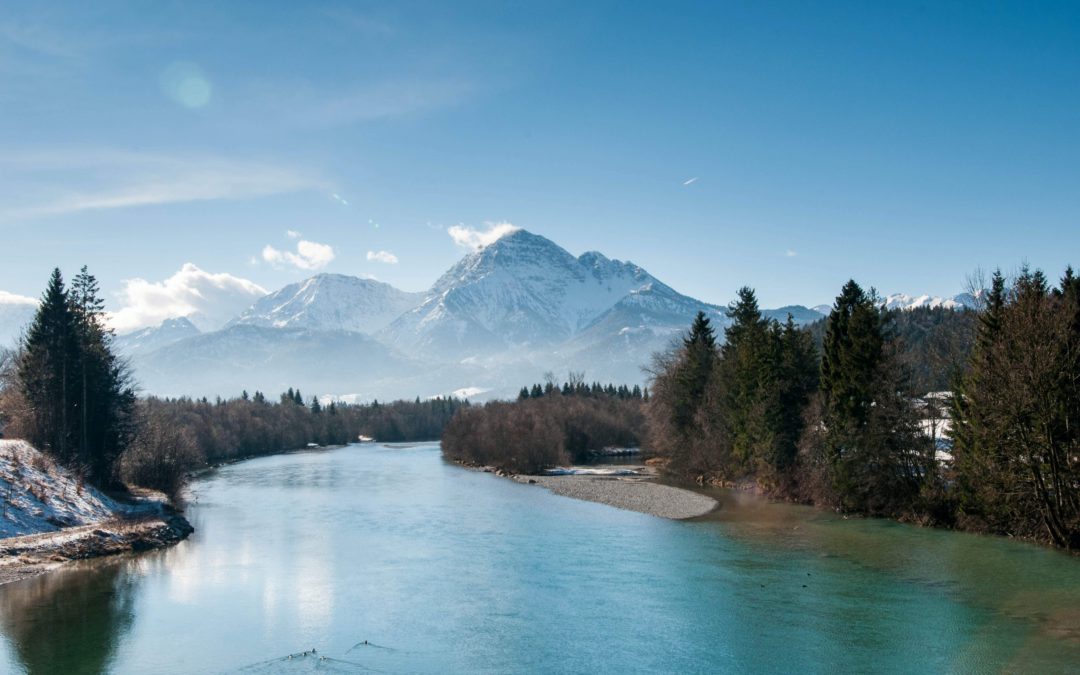 The Ultimate Guide to Choosing the Best Travel Nurse Agency