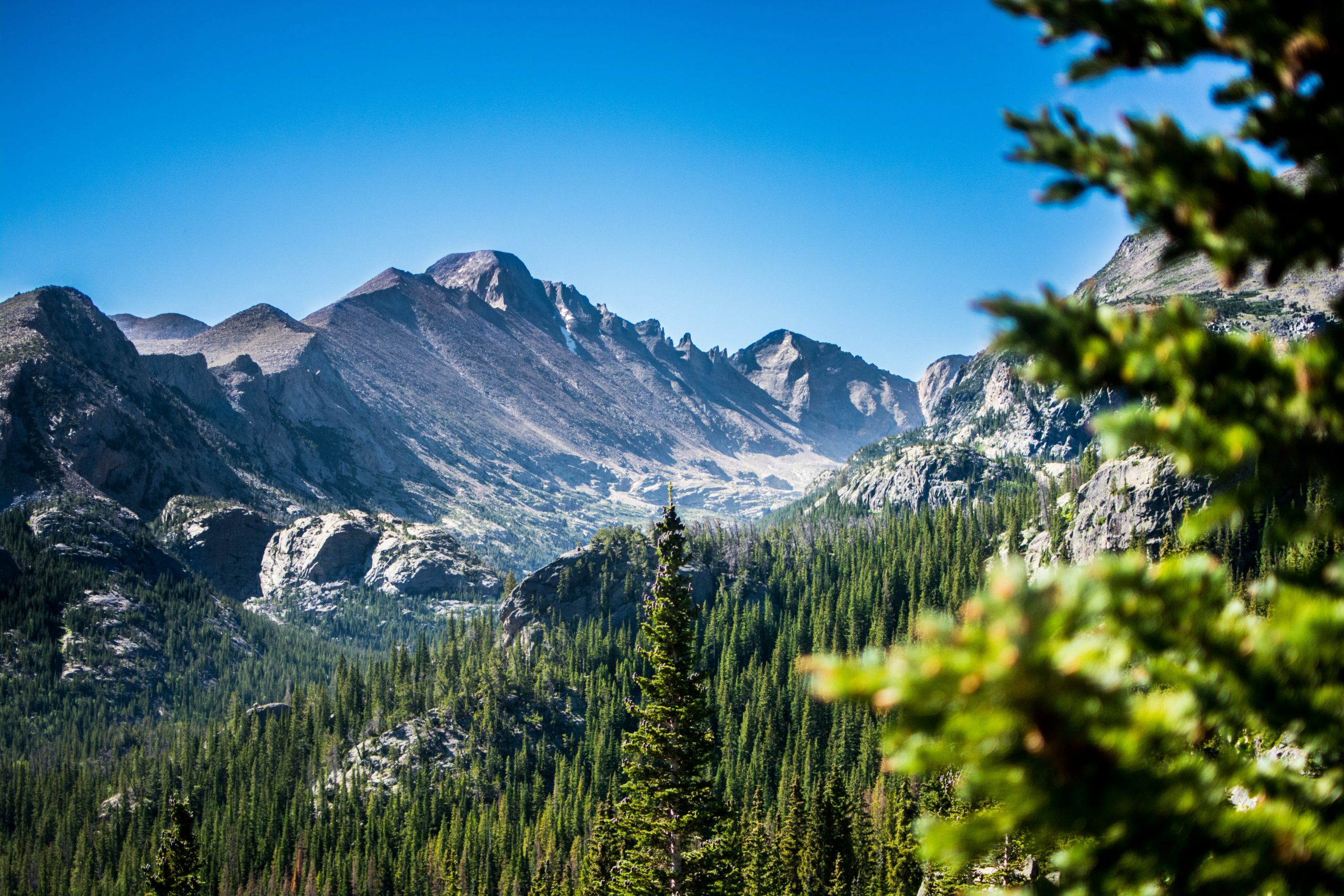 peter-pryharski-BZ_pzyTd-hE-unsplash